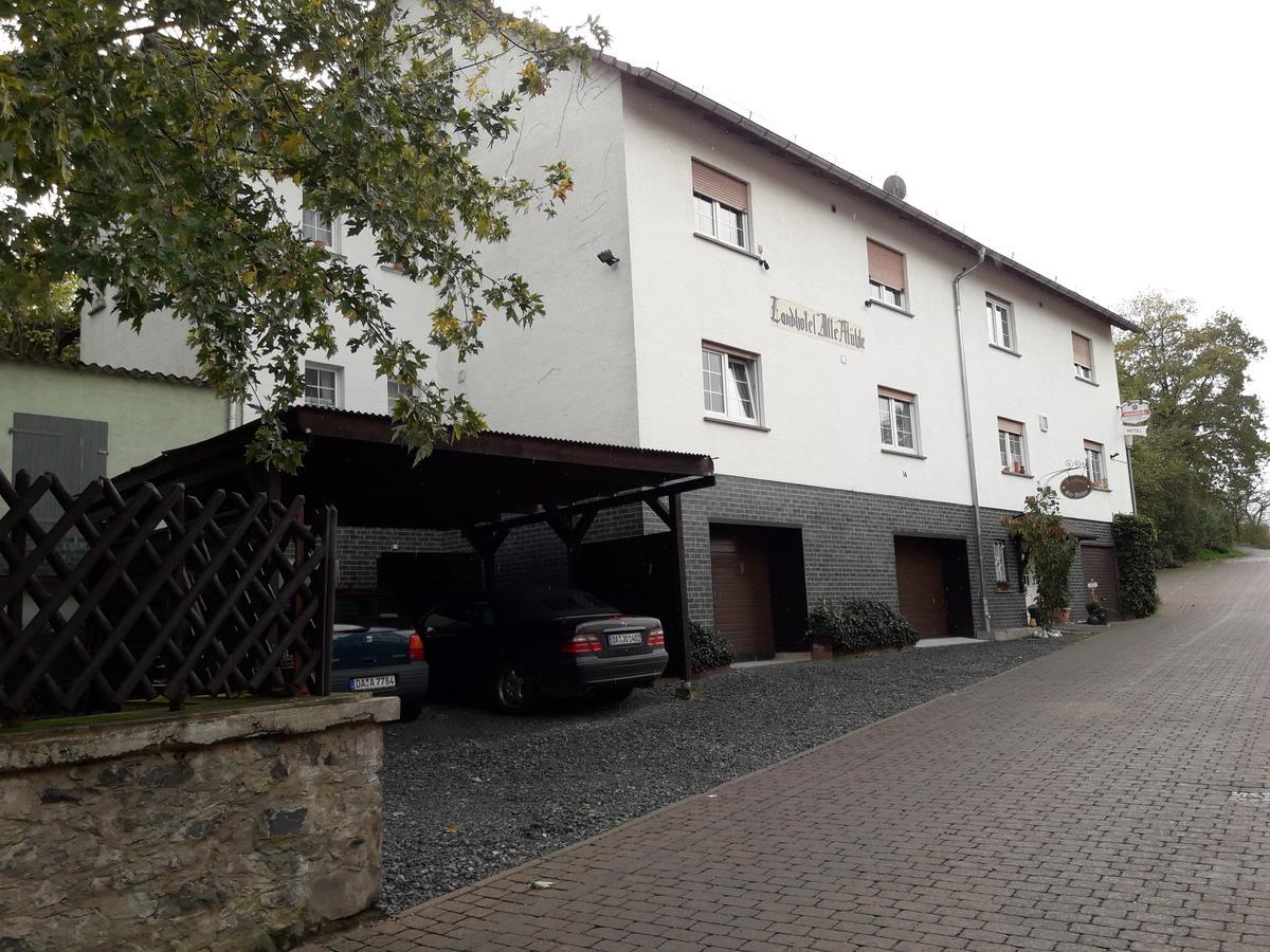 Landhotel Alte Muehle Modautal 外观 照片